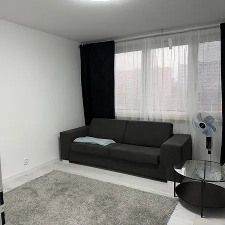 Apartment 44m2 Belsky Les *